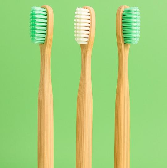 Eco-Friendly & Sustainable Lifestyle